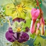 Carta Di Riso Per Decoupage Vintage Hobby Decoupage